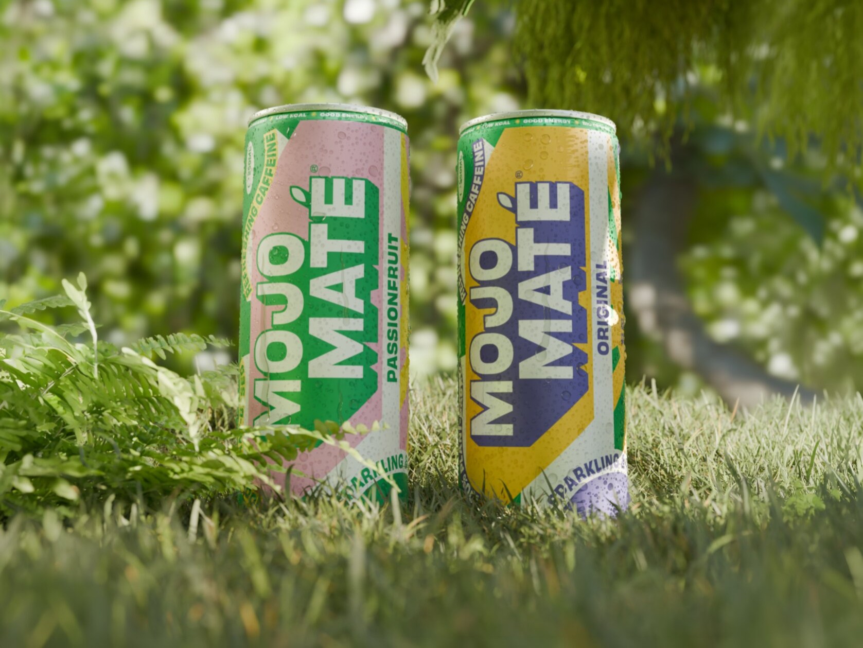 Mojo Maté